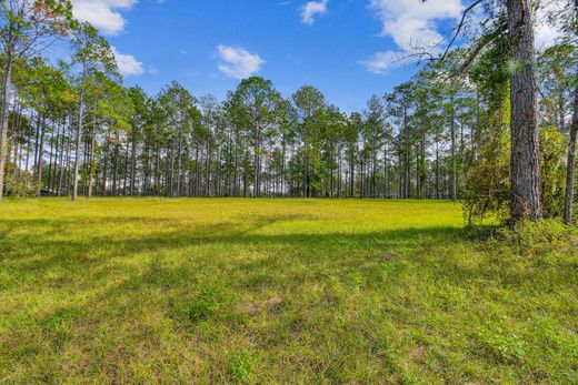 Grond in Eustis, Lake County