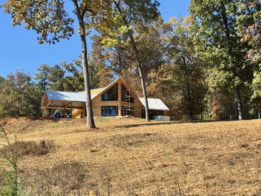 단독 저택 / Blue Ridge, Fannin County