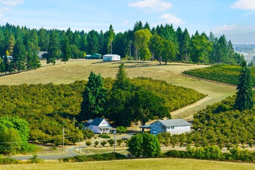 Элитный дом, Junction City, Lane County