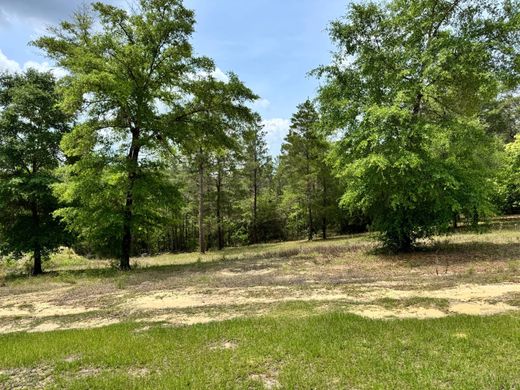 Terreno a DeFuniak Springs, Walton County