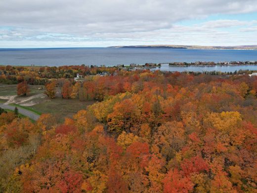 Arsa Petoskey, Emmet County