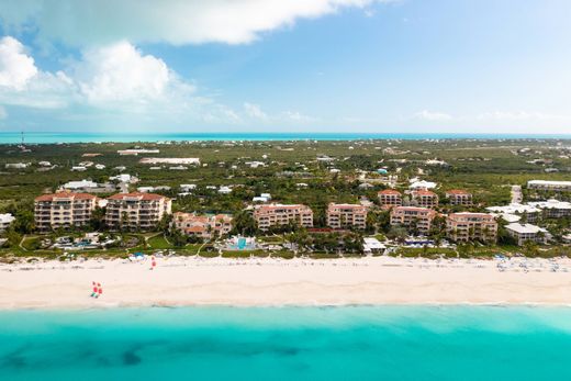 ﺷﻘﺔ ﻓﻲ Grace Bay