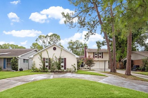 Houston, Harris Countyの一戸建て住宅