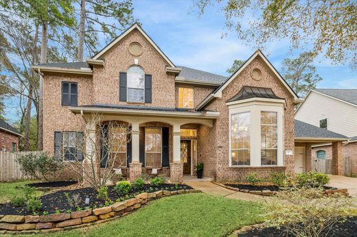 Casa de luxo - The Woodlands, Montgomery County