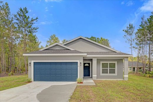 Casa en Ocklawaha, Marion County