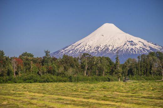 Gospodarstwo w Puerto Octay, Provincia de Osorno