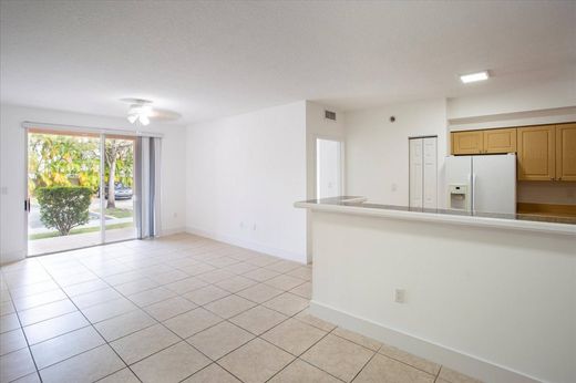Daire Miami, Miami-Dade County