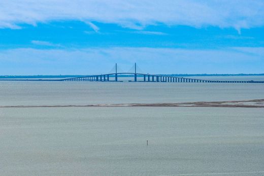 ‏בתי יוקרה ב  St. Petersburg, Pinellas County