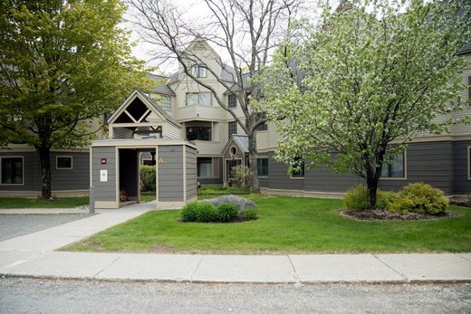 Apartment in Stratton, Windham County