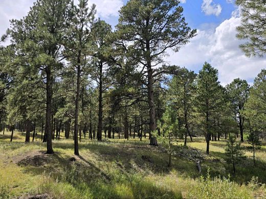 Terreno en Colorado Springs, El Paso County