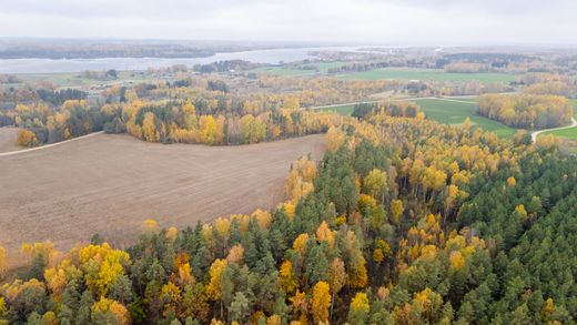 Grond in Drukas, Glūdas pagasts