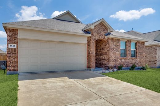 Einfamilienhaus in Princeton, Collin County