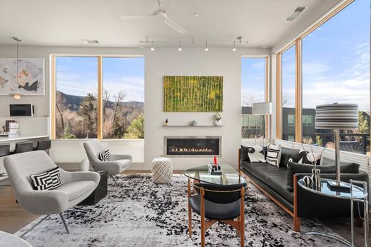 ﺷﻘﺔ ﻓﻲ Basalt, Eagle County