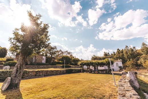 Casa de campo - Moimenta da Beira, Viseu