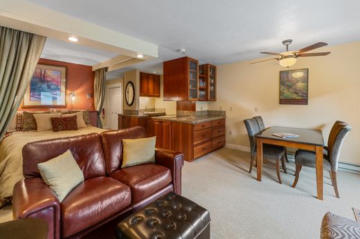 Apartment in Crested Butte, Gunnison County
