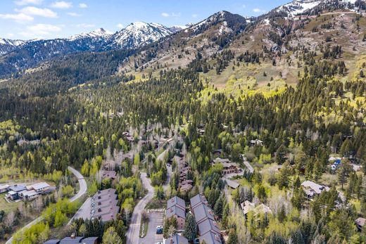 Элитный дом, Teton Village, Teton County