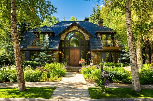 Maison de luxe à Aspen, Comté de Pitkin