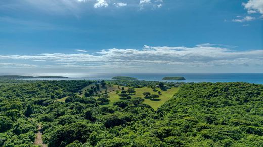 地皮  Vieques, Vieques Municipality