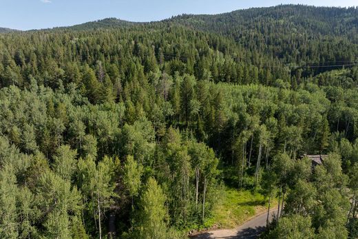 Luxe woning in Victor, Teton County