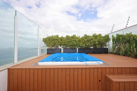 リオデジャネイロ, Rio de Janeiroの高級住宅