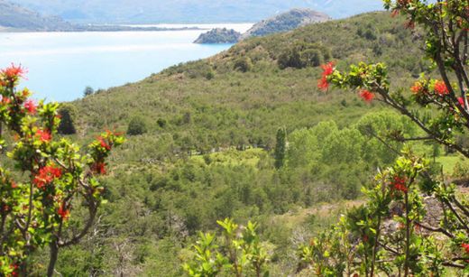 Puerto Aysén, Provincia de Aisénのカントリーハウス