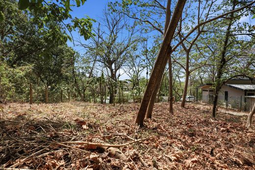 Land in Nosara, Nicoya
