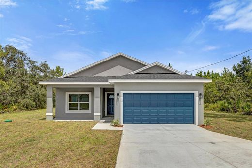 Casa en Ocklawaha, Marion County