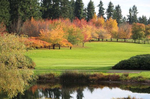 Teren w Vashon, King County