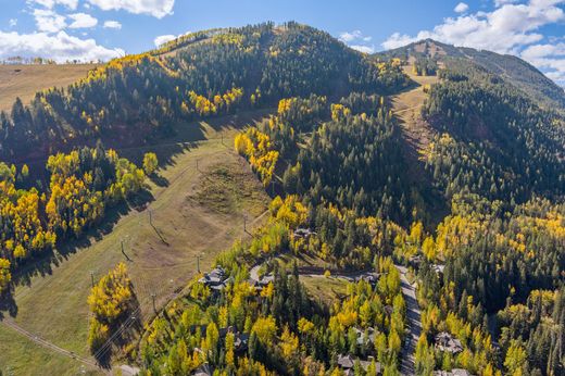 Land in Aspen, Pitkin County