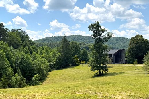 단독 저택 / Mineral Bluff, Fannin County