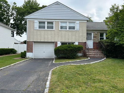 Dom jednorodzinny w Syosset, Nassau County