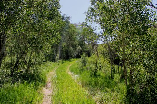Terreno en Snowmass, Pitkin County
