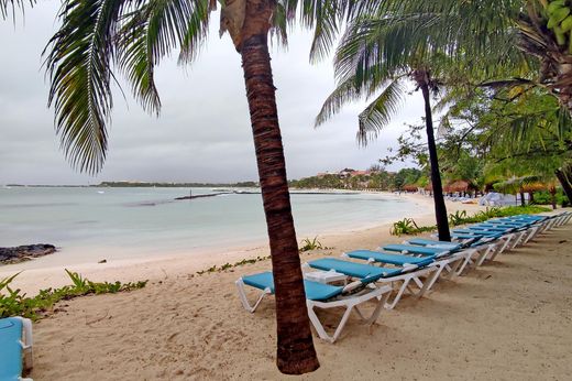 Kamienica w Puerto Aventuras, Solidaridad