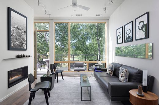 ﺷﻘﺔ ﻓﻲ Basalt, Eagle County