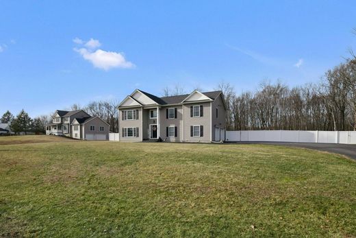 Luxury home in Greenville, Orange County