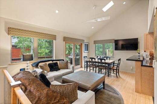 Dublex Aspen, Pitkin County