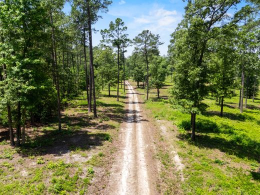 Terreno a Rembert, Sumter County