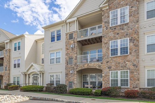 Daire Warrington, Bucks County