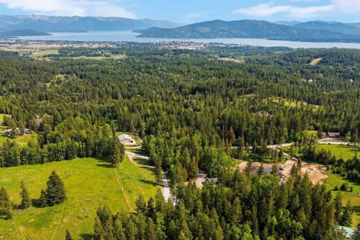 Arsa Sandpoint, Bonner County