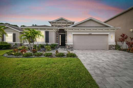 Einfamilienhaus in Tampa, Hillsborough County