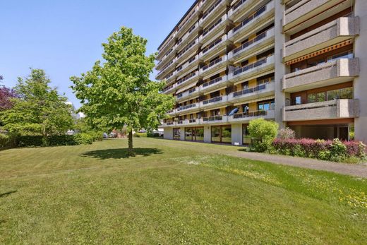 Daire Grand-Lancy, Geneva