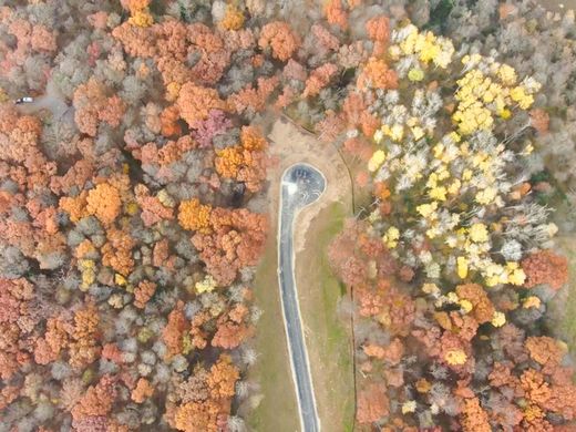 토지 / Rochester, Olmsted County