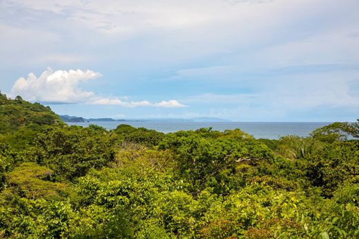 Punta Islita, Nandayureの土地