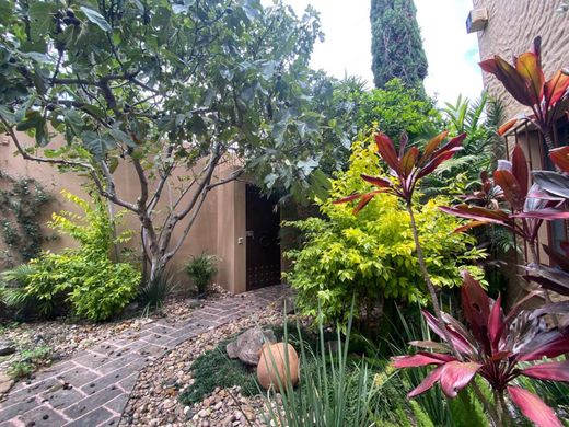 San Miguel de Allende, グアナフアト州の一戸建て住宅