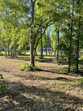 Teren w Murrells Inlet, Georgetown County