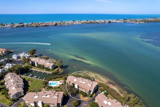 Daire Cortez, Manatee County