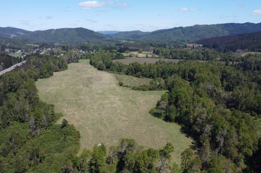 Gospodarstwo w Los Lagos, Provincia de Valdivia