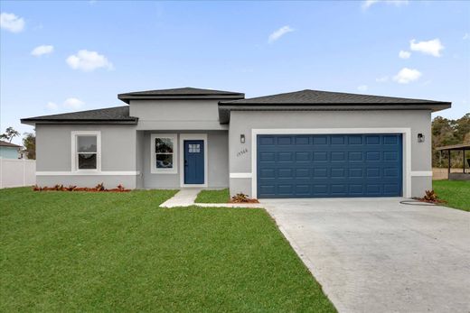 Einfamilienhaus in Ocala Waterway, Marion County