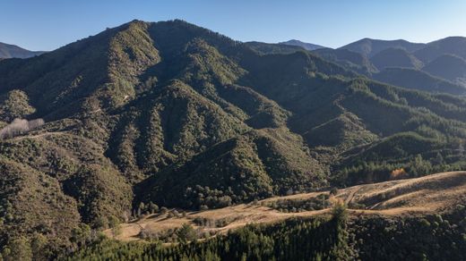 Terreno en Nelson, Nelson City