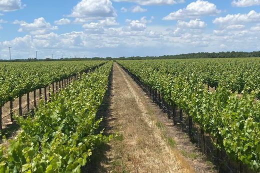 Terreno a Madera, Madera County